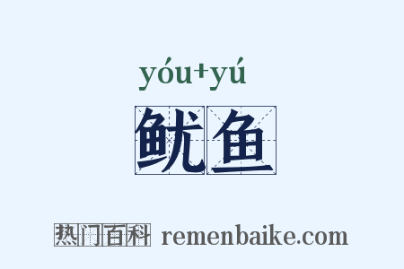 鱿鱼是什么意思的图片